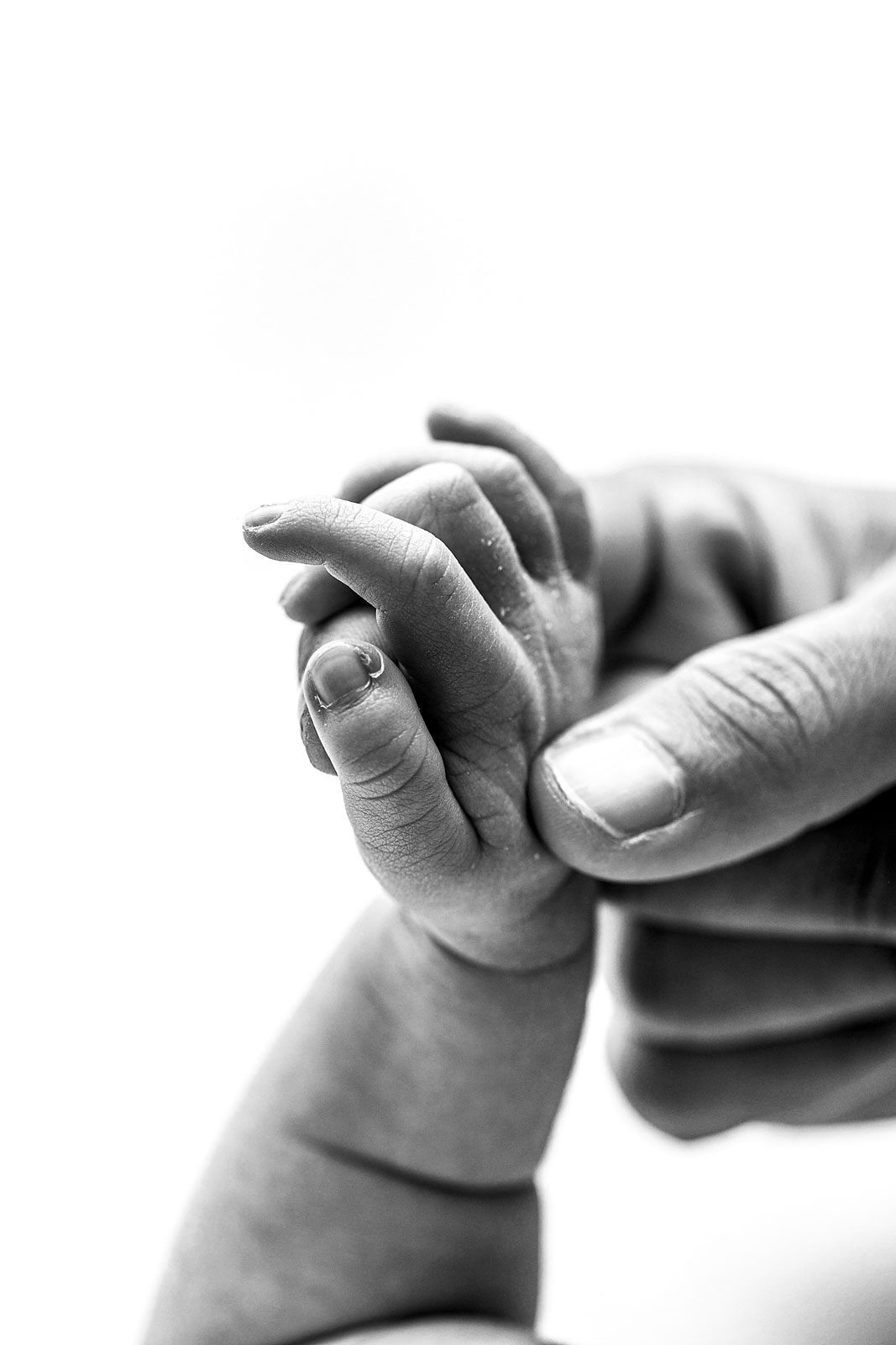 Tucson Newborn Photographer, Tiny Details